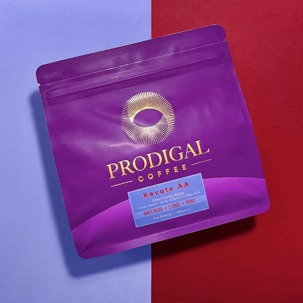 Prodigal - Kevote AA