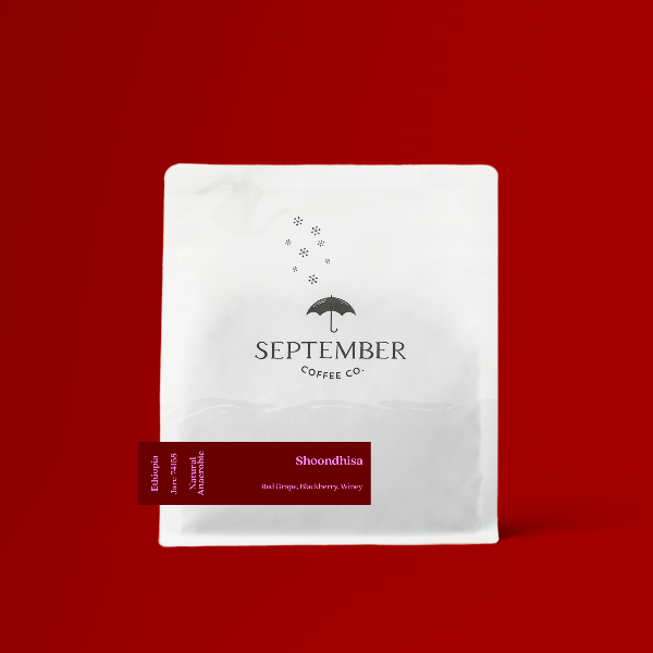 Photo of September - Shoondhisa: Anaerobic Natural ( Default Title ) [ September Coffee Co ] [ Coffee ]