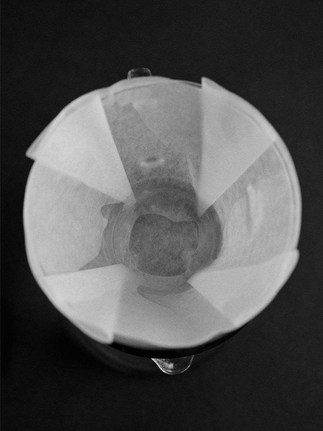 SIBARIST B3 Specialty Coffee Filters