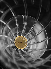 Photo of SIBARIST Booster 22 (for conical brewers with B3 Hybrid filters) ( ) [ Sibarist ] [ Brewing Accessories ]