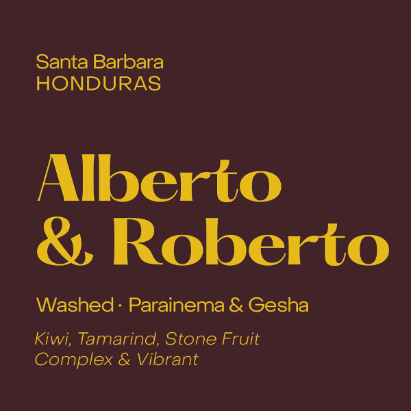 Photo of Subtext - Alberto & Roberto ( Default Title ) [ Subtext Coffee Roasters ] [ Coffee ]