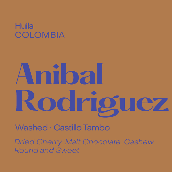 Subtext - Anibal Rodriguez