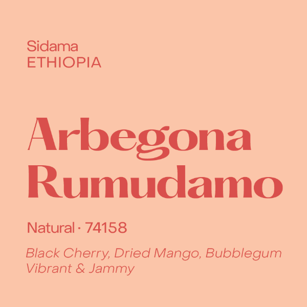 Photo of Subtext - Arbegona Rumadamo: Natural ( Default Title ) [ Subtext Coffee Roasters ] [ Coffee ]