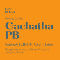 Photo of Subtext - Holiday Coffee: Gachatha PB ( Default Title ) [ Subtext Coffee Roasters ] [ Coffee ]