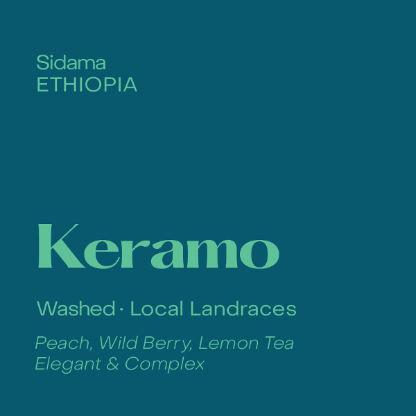 Subtext - Keramo Espresso