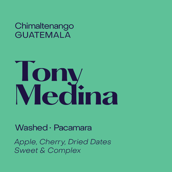 Photo of Subtext - Tony Medina Pacamara ( Default Title ) [ Subtext Coffee Roasters ] [ Coffee ]