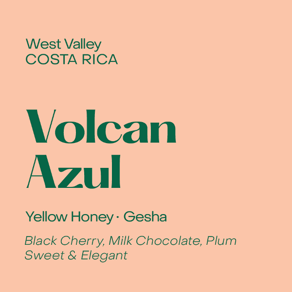 Photo of Subtext - Volcan Azul: Yellow Honey Gesha ( Default Title ) [ Subtext Coffee Roasters ] [ Coffee ]