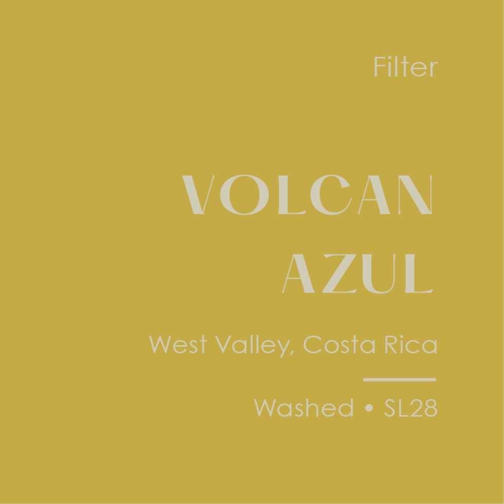 Photo of Subtext - Volcan Azul: Washed SL28 ( Default Title ) [ Subtext Coffee Roasters ] [ Coffee ]