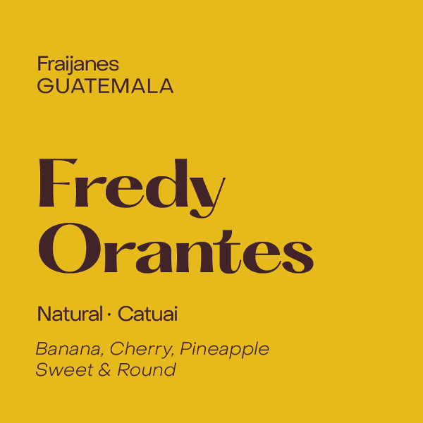 Photo of Subtext - Fredy Orantes: Natural Catuai ( ) [ Subtext Coffee Roasters ] [ Coffee ]