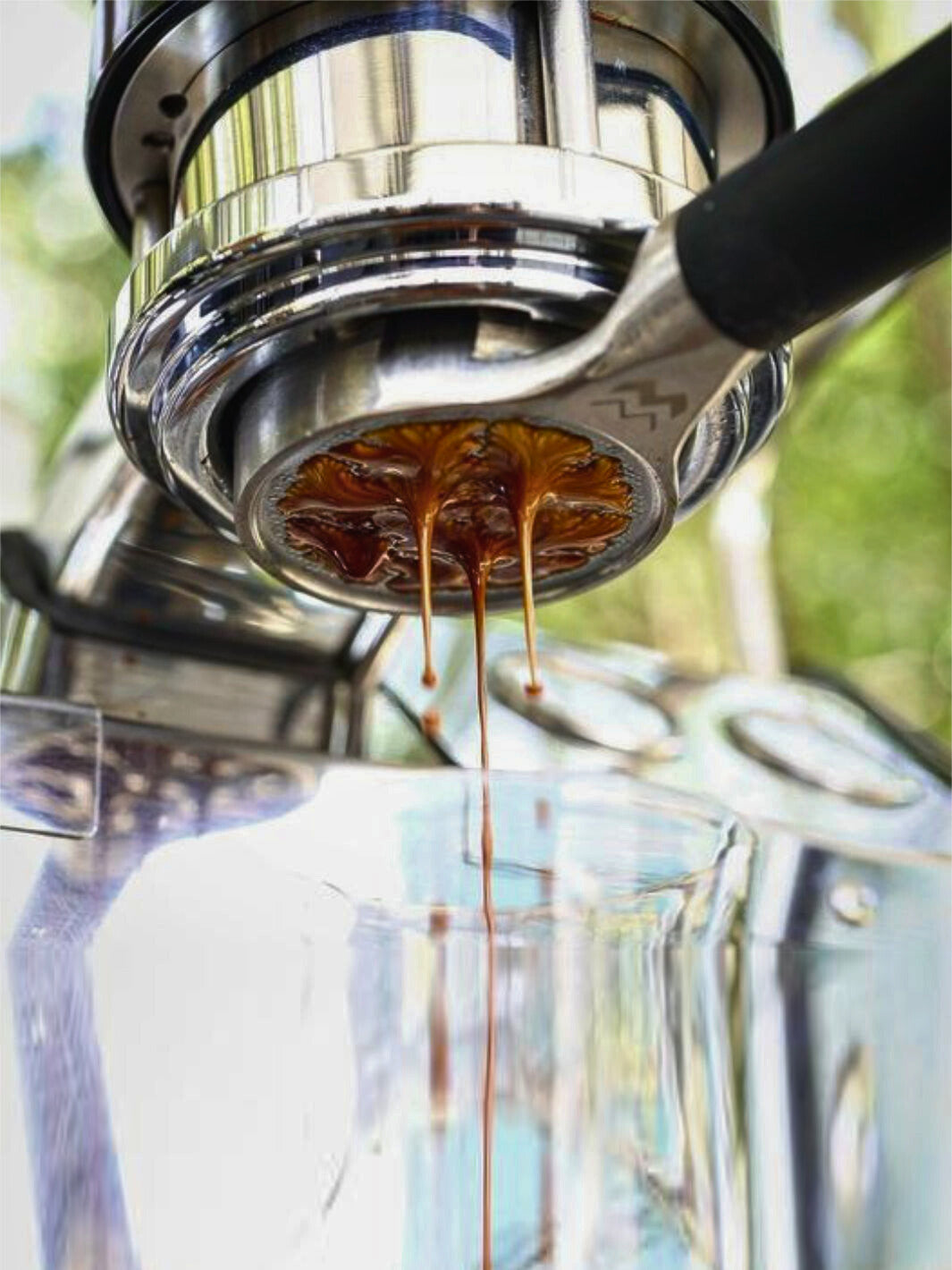 Naked portafilter clearance