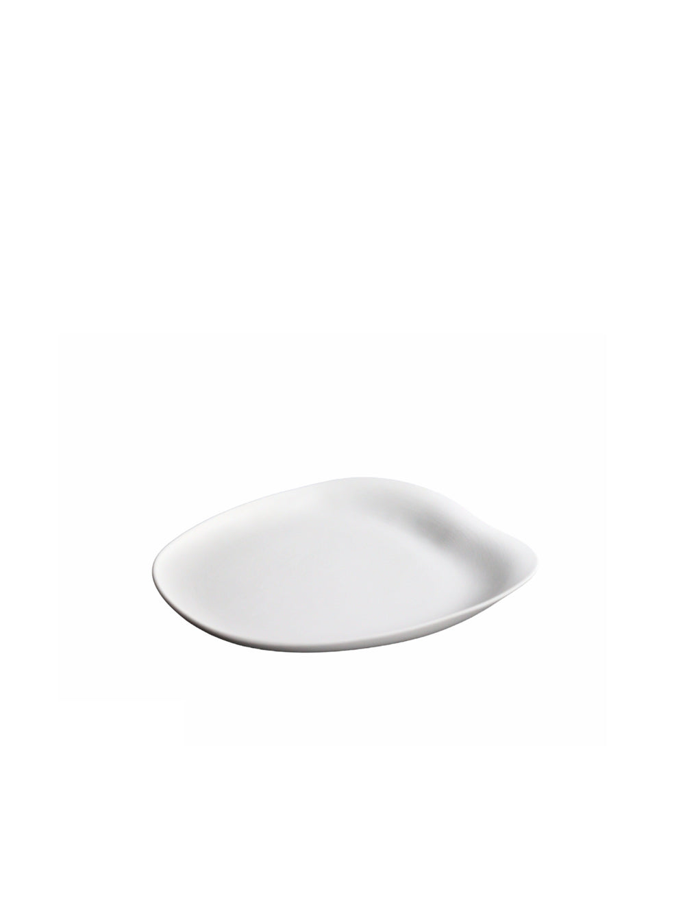 Photo of COOKPLAY Jelly Dinner Plate (29x23cm/11.4x9in) ( Matte ) [ Cookplay ] [ Plates ]