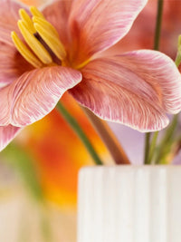 Photo of FABLE The Tall Bud Vase ( ) [ Fable ] [ Vase ]