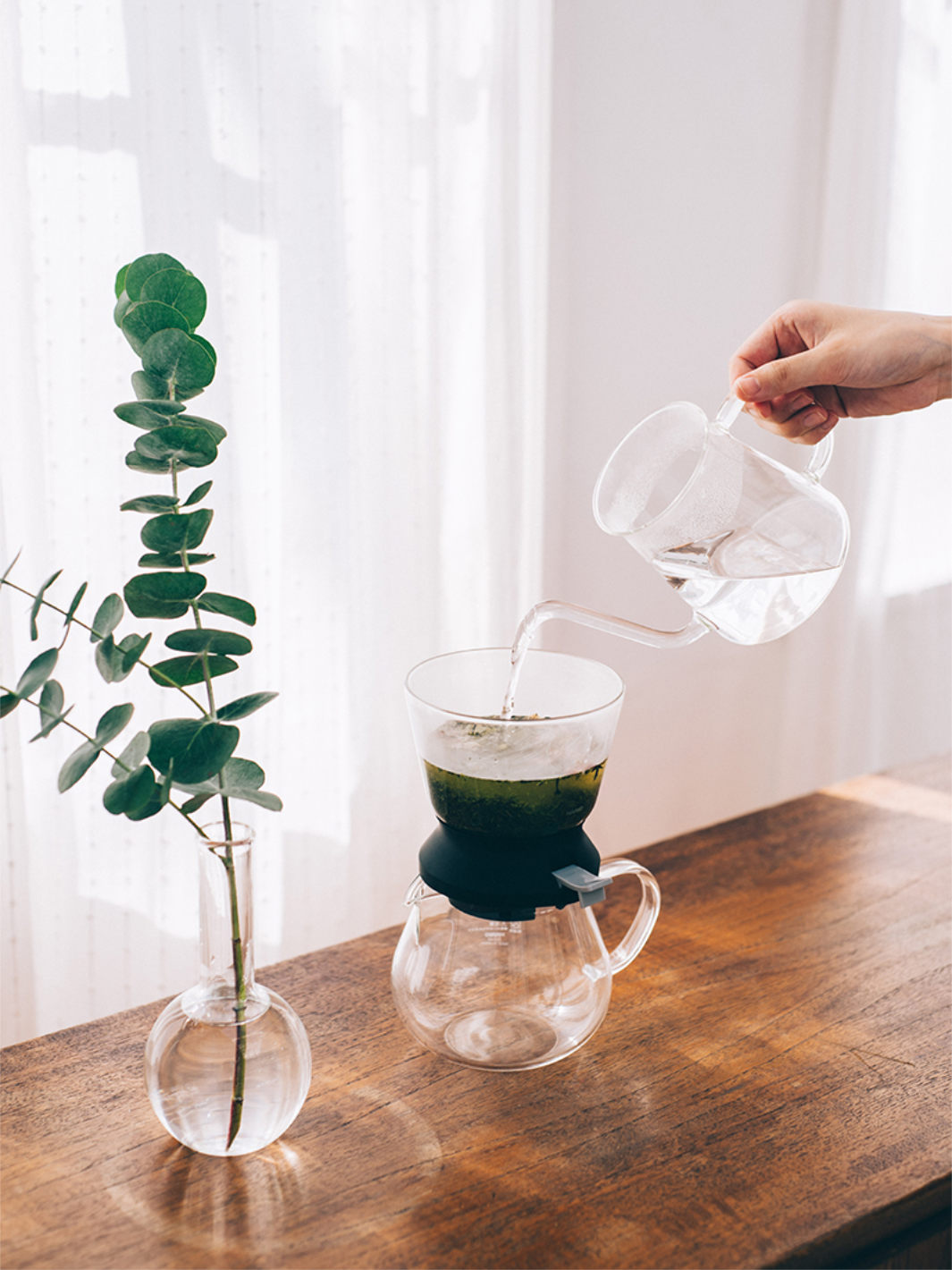 HARIO Largo 35 Tea Brewer (350ml/12oz) - Thumbnail 3