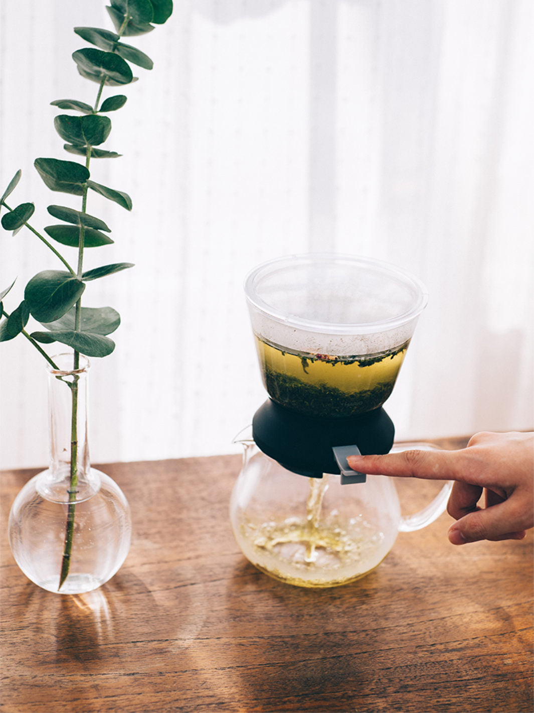 HARIO Largo 35 Tea Brewer (350ml/12oz) - Thumbnail 4